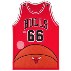 Chicago Bulls 20'' x 18'' Jersey Traditions Banner